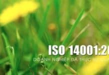iso 14001 2015 doanh nghiep 218x150 - Tư Vấn ISO 14001 Tiêu chuẩn quốc tế IAS Hoa Kỳ công nhận